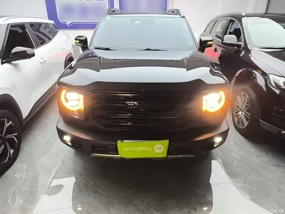 2021 Haval Big Dog 1.5T DCT 2WD Border Collie Edition, фото 3, лот 10417319