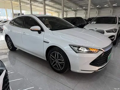 2023 BYD Qin PLUS Champion Edition DM-i 55KM Surpassing, фото 3, лот 10364048