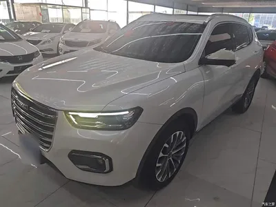 2020 Haval H6 1.5GDIT Automatic Platinum Champion Edition, фото 1, лот 10284422
