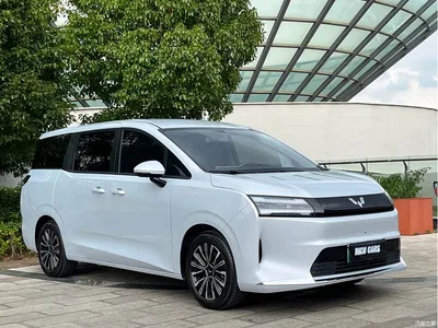 2025 Wuling Motors Xingguang 730 New Energy Model Pure Electric Base Version, фото 3, лот 11152154