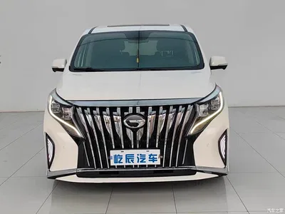 2021 GAC Trumpchi Trumpchi M8 Leading Show Series 390T Prestige Edition, фото 2, лот 10416512