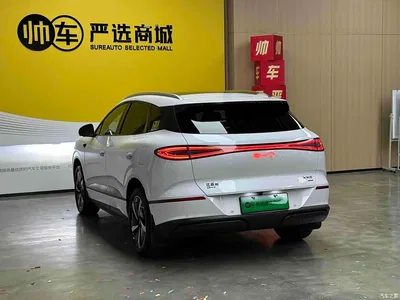 2025 BYD Sealion 06 New Energy DM-i 170 Pilot Pro Edition, фото 4, лот 11252692