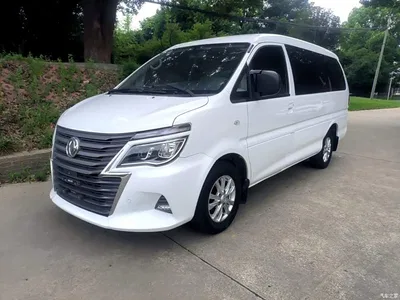 2020 Dongfeng Lingzhi M5L 1.6L Luxury 7-Seater, фото 1, лот 11158860
