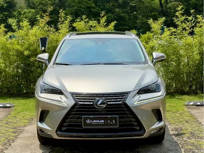 2020 Lexus NX 300h FWD F Sport China VI, фото 2, лот 10605739