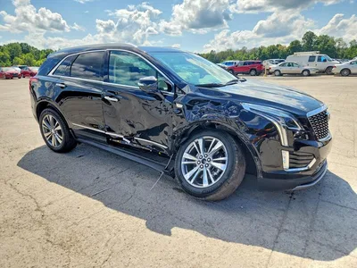 2025 CADILLAC XT5 PREMIUM LUXURY, фото 4, лот 10867234