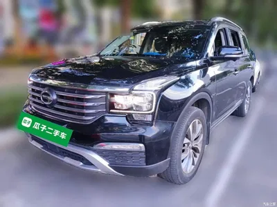 2017 GAC Trumpchi Trumpchi GS8 320T 2WD Luxury Smart Connect (7-seater), фото 1, лот 10894356