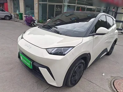 2024 BYD Seagull Glory Edition 305km Vitality Edition, фото 2, лот 11198916