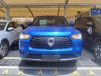 2019 Great Wall Pao 2.0T Commercial Manual Diesel 4WD Elite Long Box GW4D20M, фото 3, лот 10248881
