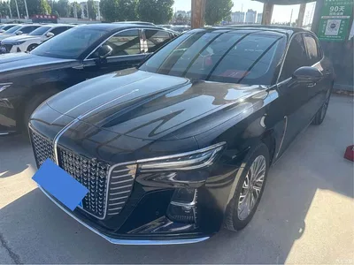 2023 Hongqi H5 2.0T Auto Smart Connect Flag Comfort, фото 1, лот 10287731