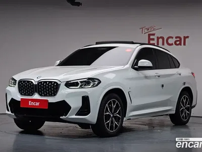 2023 BMW X4 xDrive20i M Sport, фото 1, лот 10527226