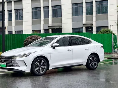 2023 BYD Destroyer 05 Champion Edition DM-i 55KM Premium, фото 4, лот 10274765
