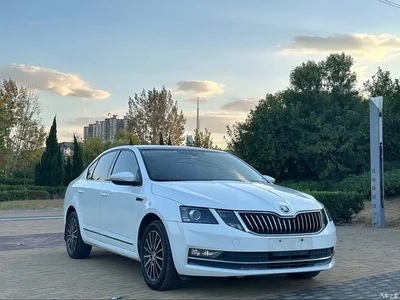 2019 Škoda Octavia TSI230 DSG Zhixing Luxury Edition China VI, фото 3, лот 11547849