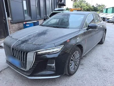 2024 Hongqi H5 1.5T DCT Smart Connect Flag Rhythm Edition, фото 2, лот 10289641