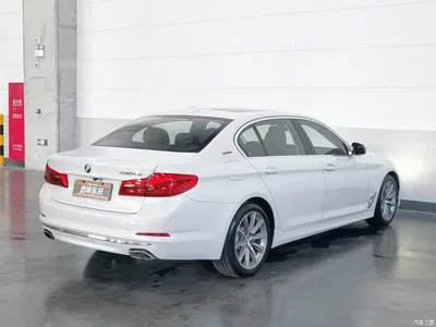 2019 BMW 5 Series New Energy 530Le Luxury Package, фото 2, лот 10474189