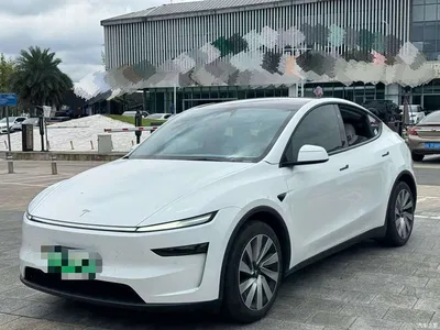 2025 Tesla Model Y Long Range All-Wheel Drive, фото 1, лот 10391965