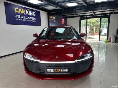 2019 Leapmotor S01 380 Standard, фото 2, лот 10812347