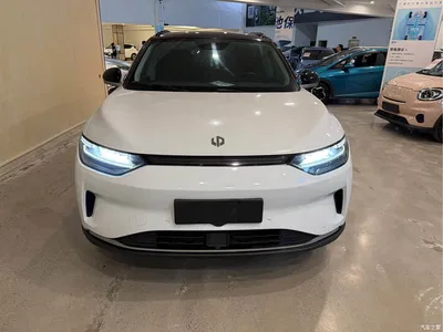 2021 Leapmotor C11 Luxury Edition, фото 3, лот 11087347