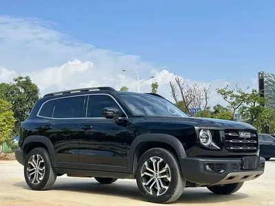 2022 Haval Big Dog 1.5T DCT 2WD Malinois Hunting Edition, фото 3, лот 11171843