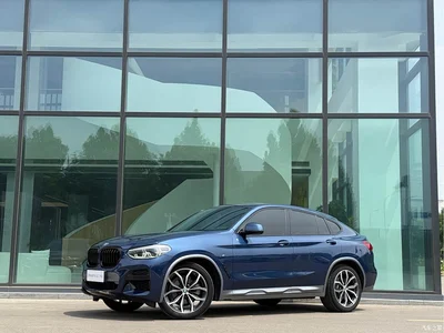 2019 BMW X4 xDrive25i M Off-Road Package, фото 1, лот 10476858