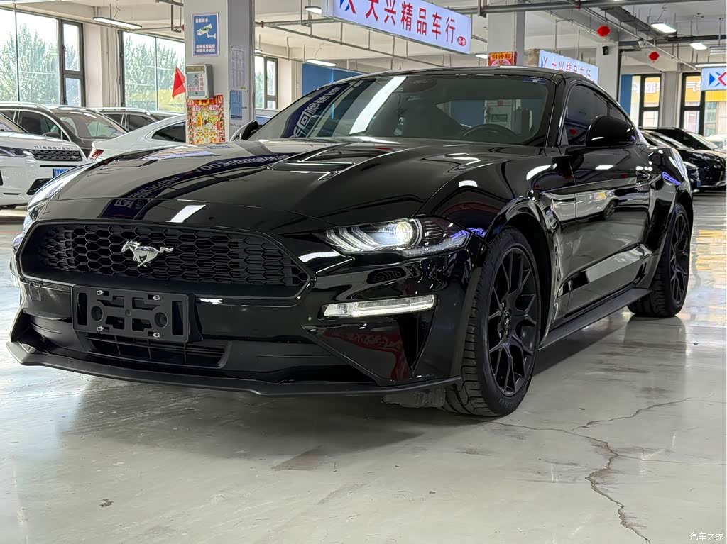 2021 Ford Mustang 2.3T EcoBoost, фото 1, лот 11213328