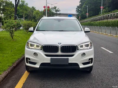 2014 BMW X5 (Import) xDrive35i Elegance, фото 2, лот 10475907