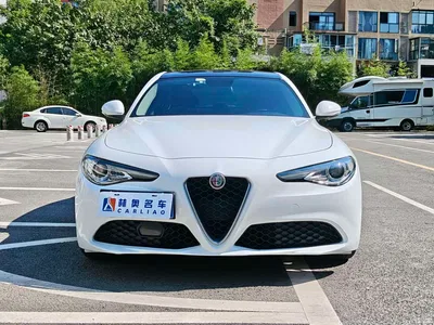 2017 Alfa Romeo Giulia 2.0T 200HP Luxury Edition, фото 2, лот 10027007