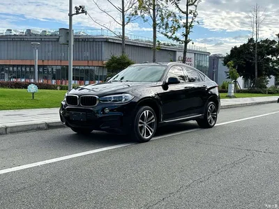 2018 BMW X6 xDrive35i Leading Model, фото 1, лот 10903206