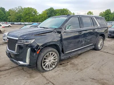 2024 CADILLAC ESCALADE ESV PREMIUM LUXURY, фото 1, лот 10866724