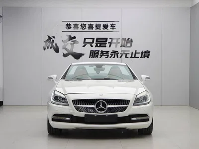 2011 Mercedes-Benz SLK-Class SLK 200 Fashion, фото 2, лот 10675516