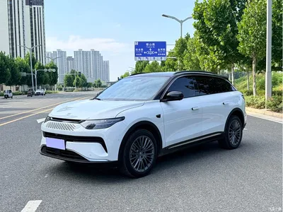 2024 Leapmotor C11 Extended Range 300 Premium Edition, фото 1, лот 10316766