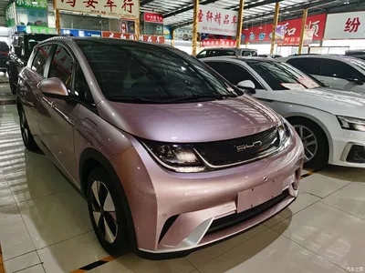 2023 BYD Dolphin 420km Fashion Edition, фото 3, лот 11468531
