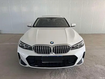 2023 BMW 3 Series 320Li M Sport Package, фото 3, лот 10629896