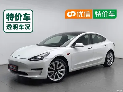 2019 Tesla Model 3 Standard Range Rear-Wheel Drive Upgrade, фото 1, лот 11138967