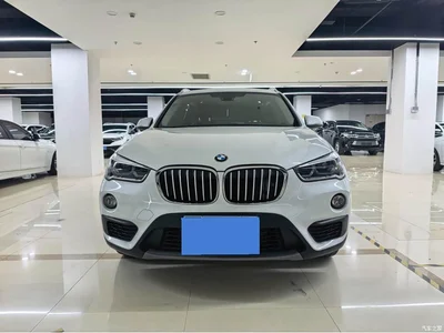 2018 BMW X1 sDrive20Li Leading Model, фото 1, лот 10404694