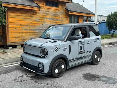 2025 Geely Galaxy Panda Model Year 210km Panda Kart, фото 1, лот 10284737
