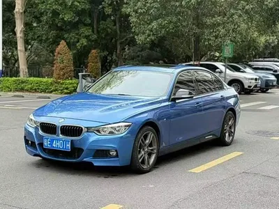 2019 BMW 3 Series 320Li M Luxury Package, фото 1, лот 11002456