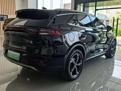 2021 BYD Tang New Energy DM-i 112KM Premium, фото 4, лот 10274060