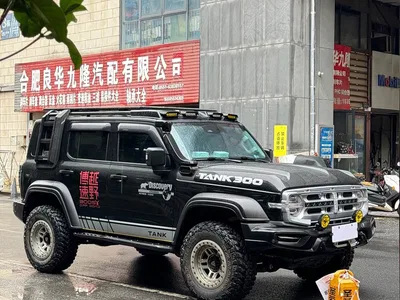 2023 Tank 300 Off-Road Edition 2.0T Conqueror, фото 3, лот 11216241