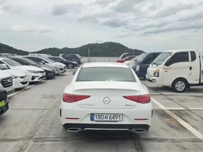2022 Mercedes-Benz CLS-Class CLS300d 4MATIC, фото 4, лот 10179608