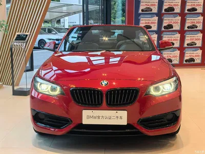 2019 BMW 2 Series (Import) 225i Convertible Coupe Sport Design Package, фото 4, лот 10899113