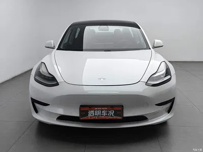 2019 Tesla Model 3 Standard Range Rear-Wheel Drive Upgrade, фото 3, лот 11138967