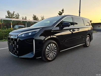 2025 BYD M9 Model 1060 Pilot Edition, фото 1, лот 11172998