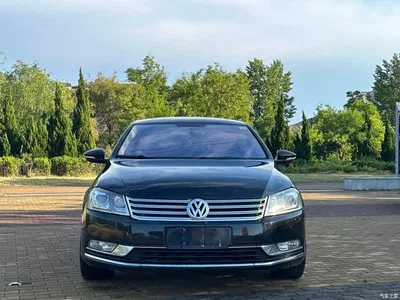 2012 Volkswagen Magotan 1.8TSI Luxury, фото 2, лот 10886417
