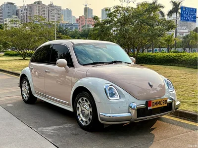 2023 Ora Ballet Cat 401km Premium Model, фото 3, лот 10331455