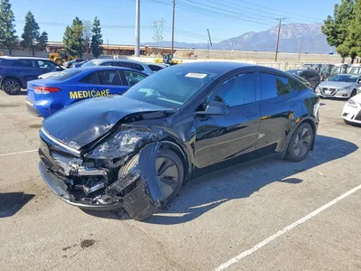 2026 TESLA MODEL Y, фото 1, лот 10973753
