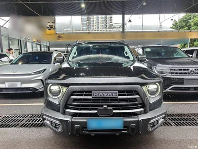 2024 Haval Big Dog 2.0T DCT Chinese Rural Dog Edition, фото 3, лот 11519075