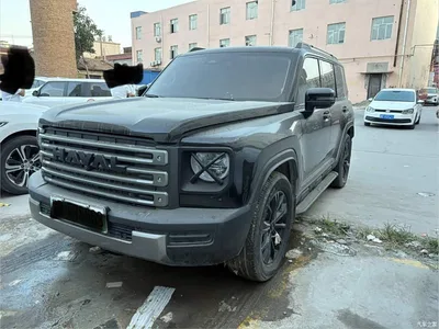 2024 Haval Meng Long NEV Hi4 145 Cross-country Edition, фото 1, лот 11089664