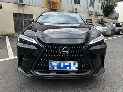 2023 Lexus NX 350h FWD Dynamic Edition, фото 2, лот 10311808