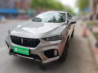 2017 WEY VV7 2.0T Flagship, фото 1, лот 10452399