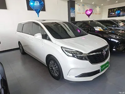 2022 Buick GL8 ES Landmark 653T Comfort, фото 4, лот 10258305
